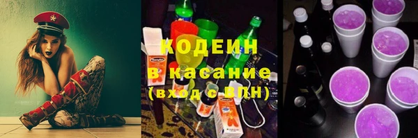 ПСИЛОЦИБИНОВЫЕ ГРИБЫ Козловка