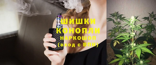 ПСИЛОЦИБИНОВЫЕ ГРИБЫ Козловка
